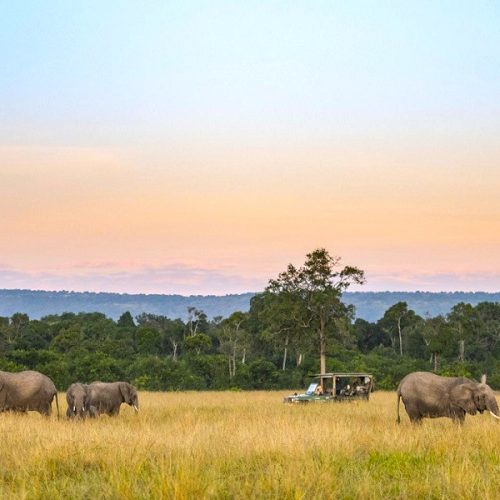 5 Days Masai Mara Safari In Kenya